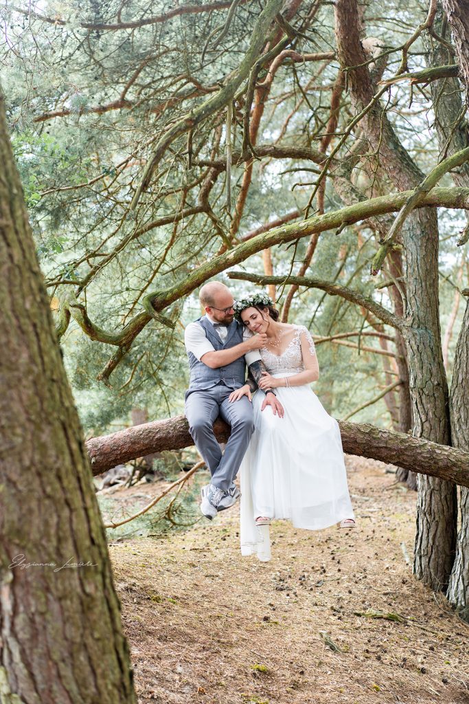Fotoshooting Hochzeitsfotos auf einem Baumstamm in der Höhe